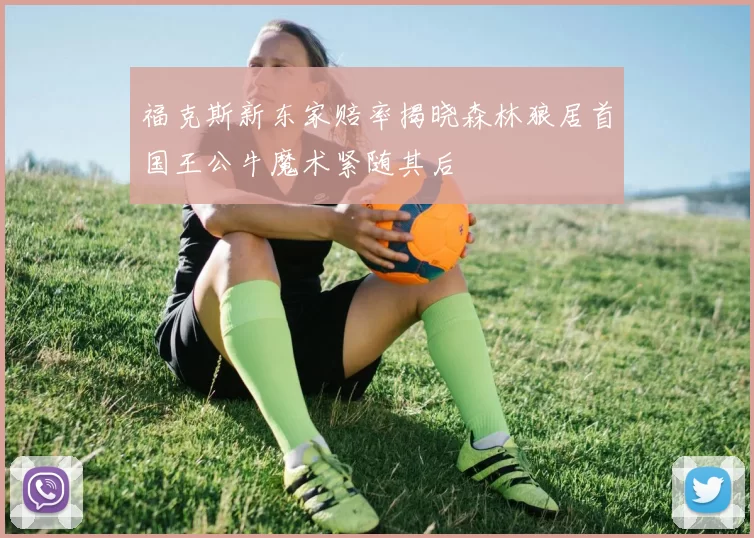 福克斯新东家赔率揭晓森林狼居首国王公牛魔术紧随其后