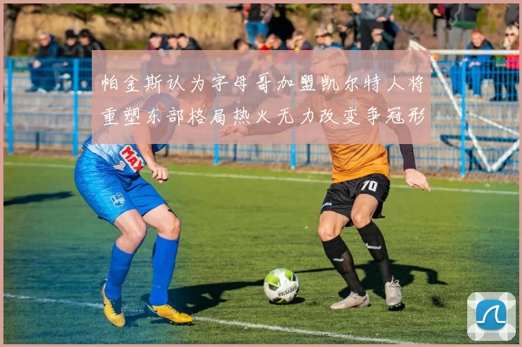 帕金斯认为字母哥加盟凯尔特人将重塑东部格局热火无力改变争冠形势
